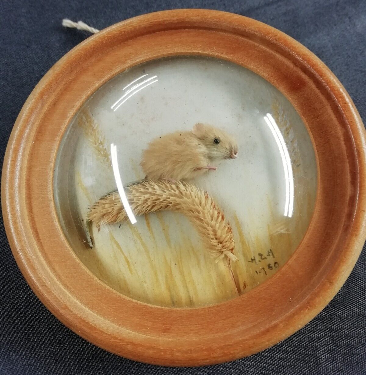 Harvest Mouse (Version 6)